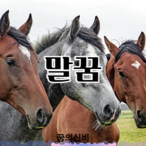 썸네일 사진