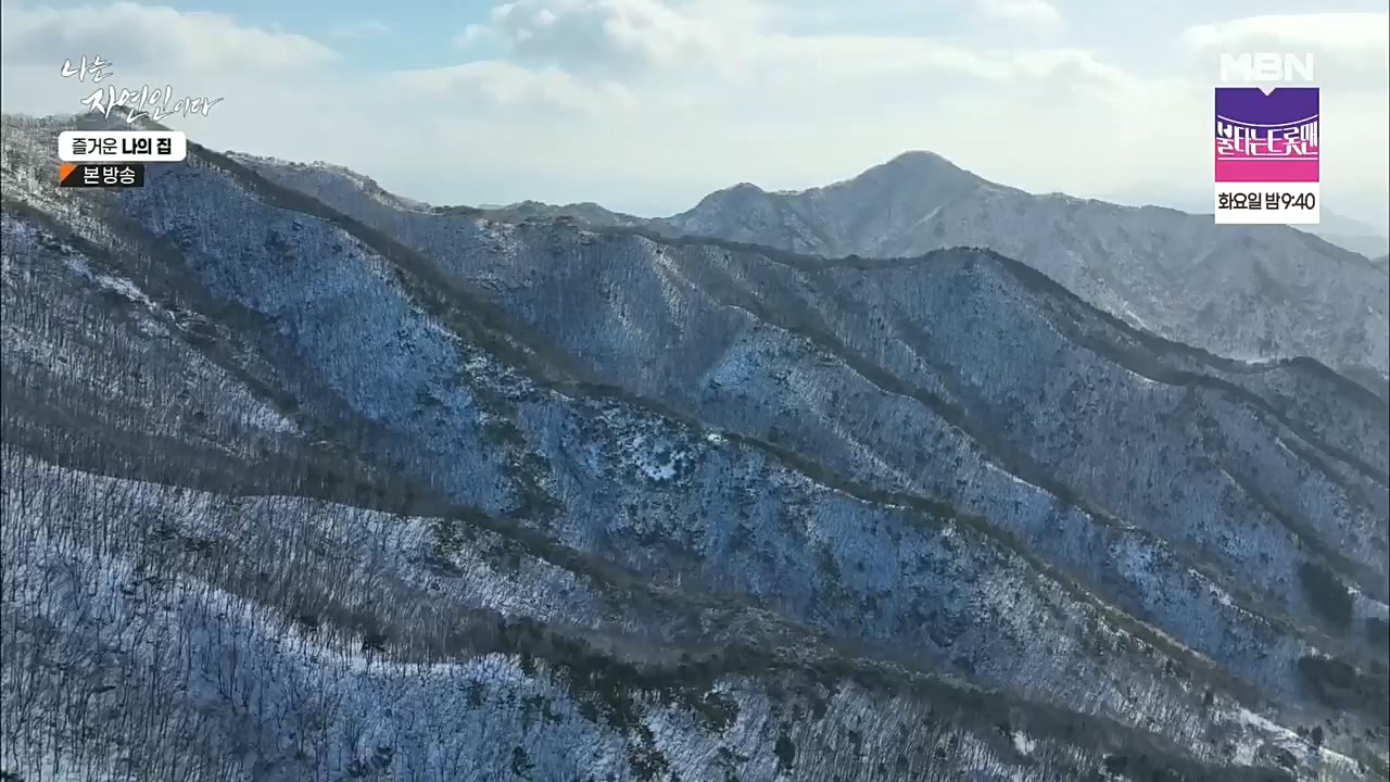 나는 자연인이다.E535.230105p.H264-F1RST.mp4_20230106_203958.161.jpg