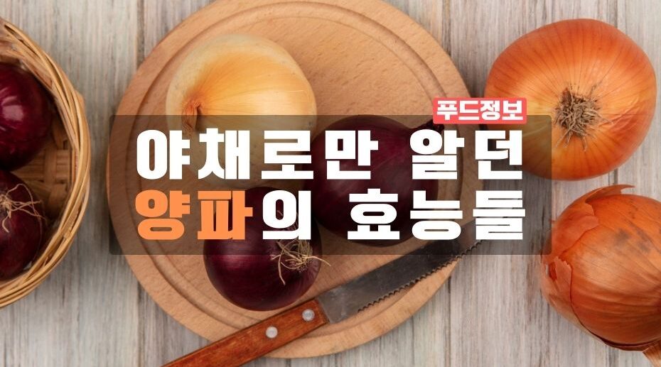 야채로만 알던 양파의 효능들