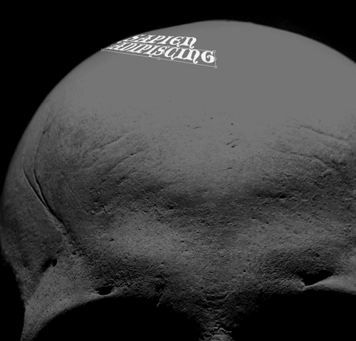 포토샵 해골 효과 만드는 방법14