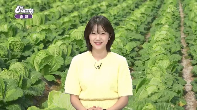 6시 내고향_김장의 필수품 평창 고랭지 배추 - 강원 평창 [슬기로운 두 반장] 슬기로운 어르신들을 찾아서 (충북 제천) [붕붕이가 간다] 철원에 무슨 일이 (강원 철원) [인생은 행복海] 우리는 환상의 사촌 (경남 통영).ts_20231117_205435.739.jpg