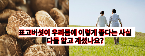  우리가 모르고 그냥 맛있어서 먹었던 '말린 표고버섯'의 기가막힌 효능들5가지 | 표고버섯 올바른 섭취방법(건강정보)
