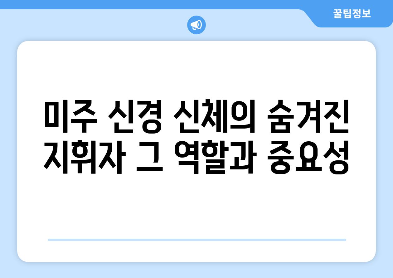 미주 신경 신체의 숨겨진 지휘자 그 역할과 중요성