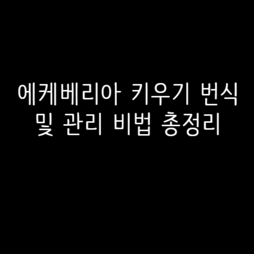 에케베리아 키우기 번식 및 관리 비법 총정리 에케베리아 키우기 번식 및 관리 비법 총정리