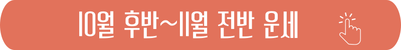 처녀자리 2024년 10월 후반~11월 전반 별자리 운세
