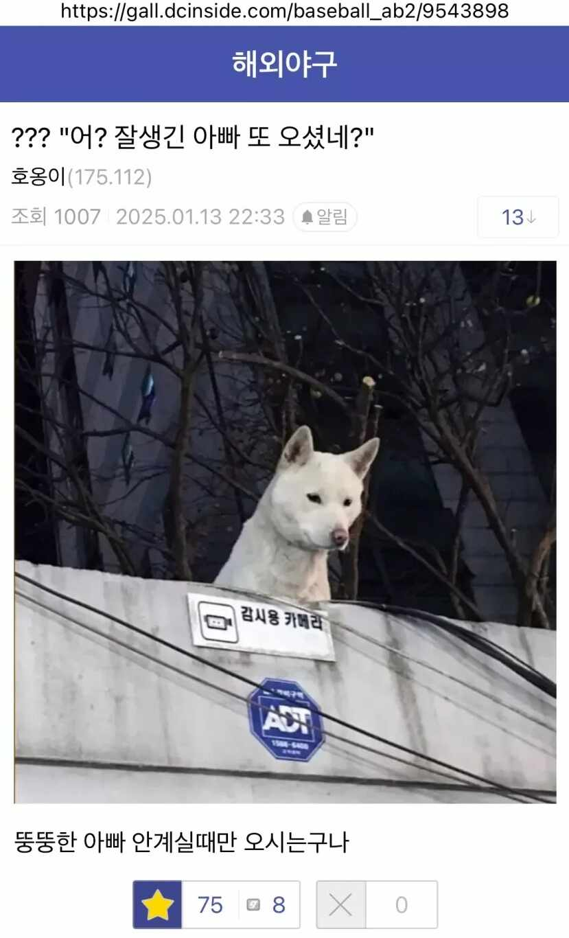 https://gall.dcinside.com/baseball_ab2/9543898
해외야구
??? &quot;어? 잘생긴 아빠 또 오셨네?&quot;
호옹이(175.112)
조회
1007
2025.01.13
22:33
알림
13
감시용 카메라
ACT
뚱뚱한 아빠 안계실때만 오시는구나
758
X