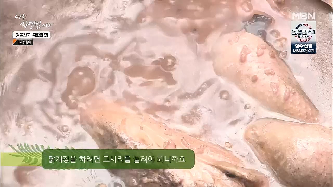 나는 자연인이다.E536.230112p.H264-F1RST.mp4_20230112_193506.666.jpg