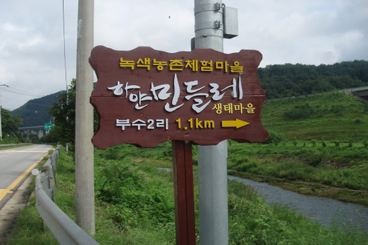보은 하얀 민들레 마을