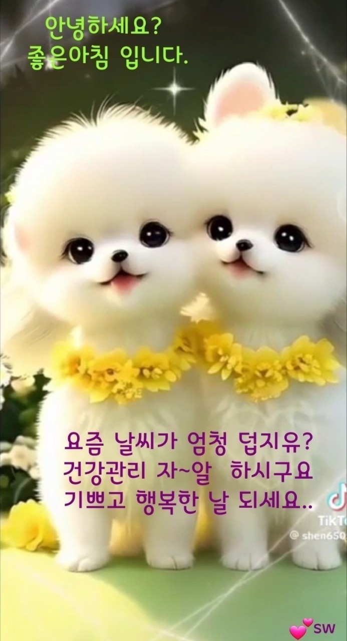 유람 이미지