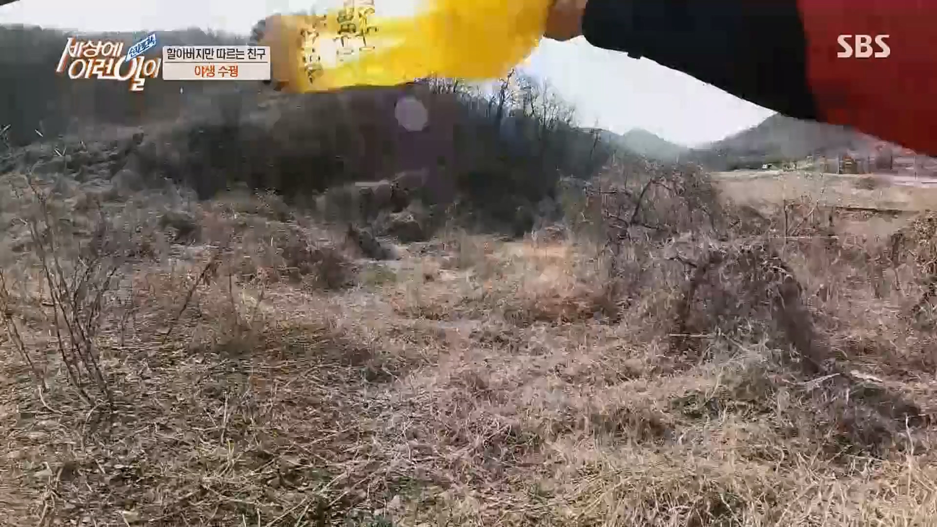 순간포착 세상에 이런일이.E1224.230404p.H264-F1RST.mp4_20230405_193509.341.jpg