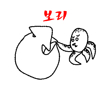  오늘의 짤_보리 쌀, 쌀 쌀 보리