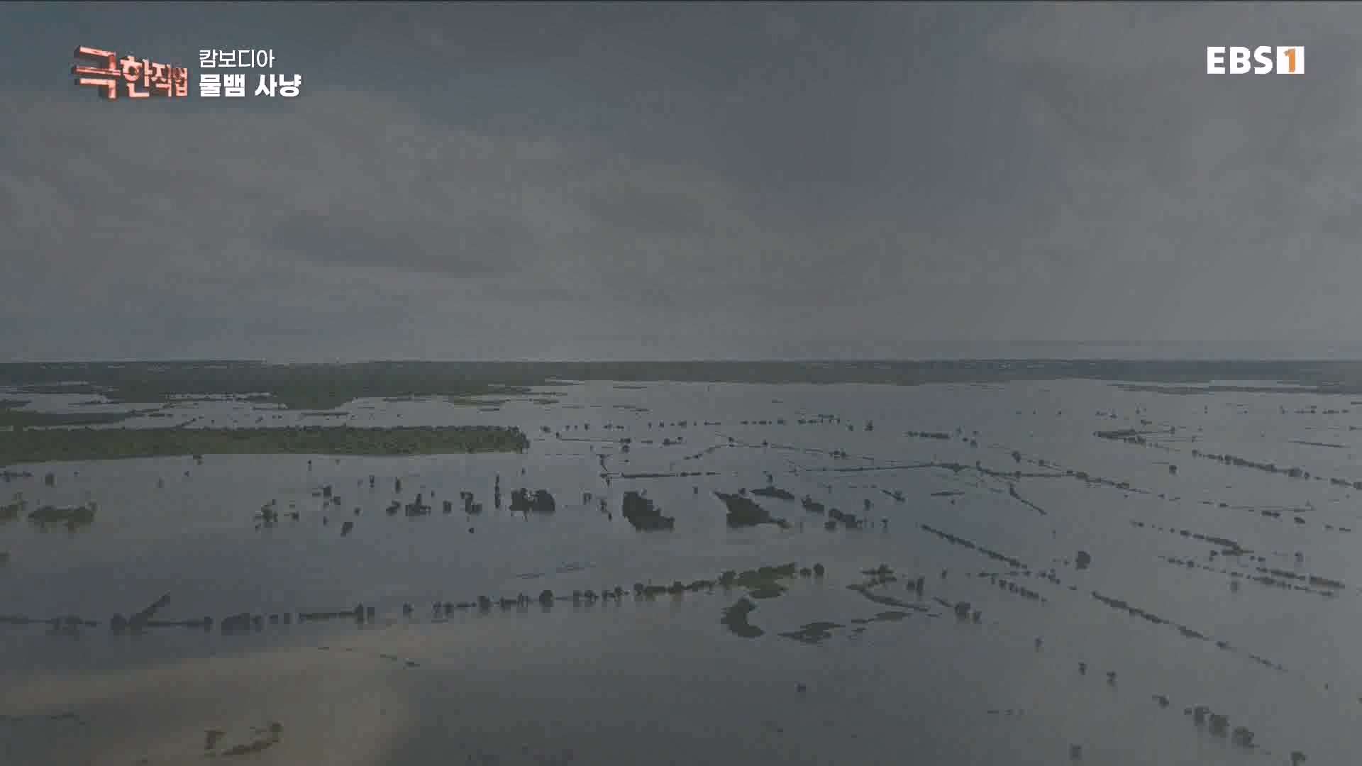 물뱀 사냥과 맹르로브숲의 게잡이 231021.mp4_20231025_211949.915.jpg