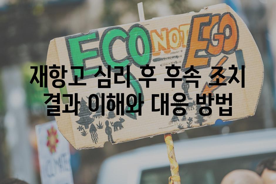 재항고 심리 후 후속 조치 결과 이해와 대응 방법