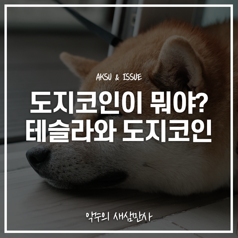  도지코인이 대체 뭐길래, 도지코인과 일론 머스크