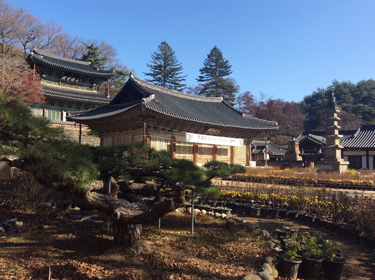  공주 태화산 마곡사