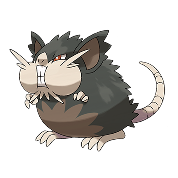  [포켓몬도감]  No. 020 레트라 Raticate #020 Alolan Form