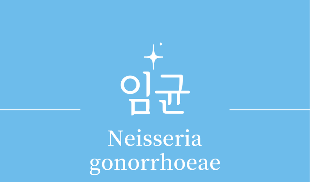 '임균(Neisseria gonorrhoeae)'