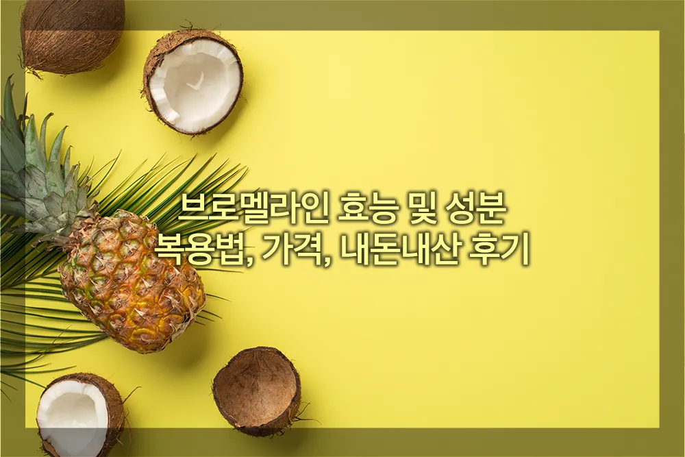 브로멜라인 효능