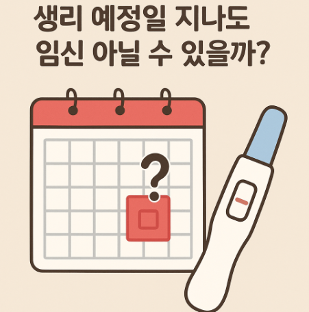생리예정일 임신테스트 임신