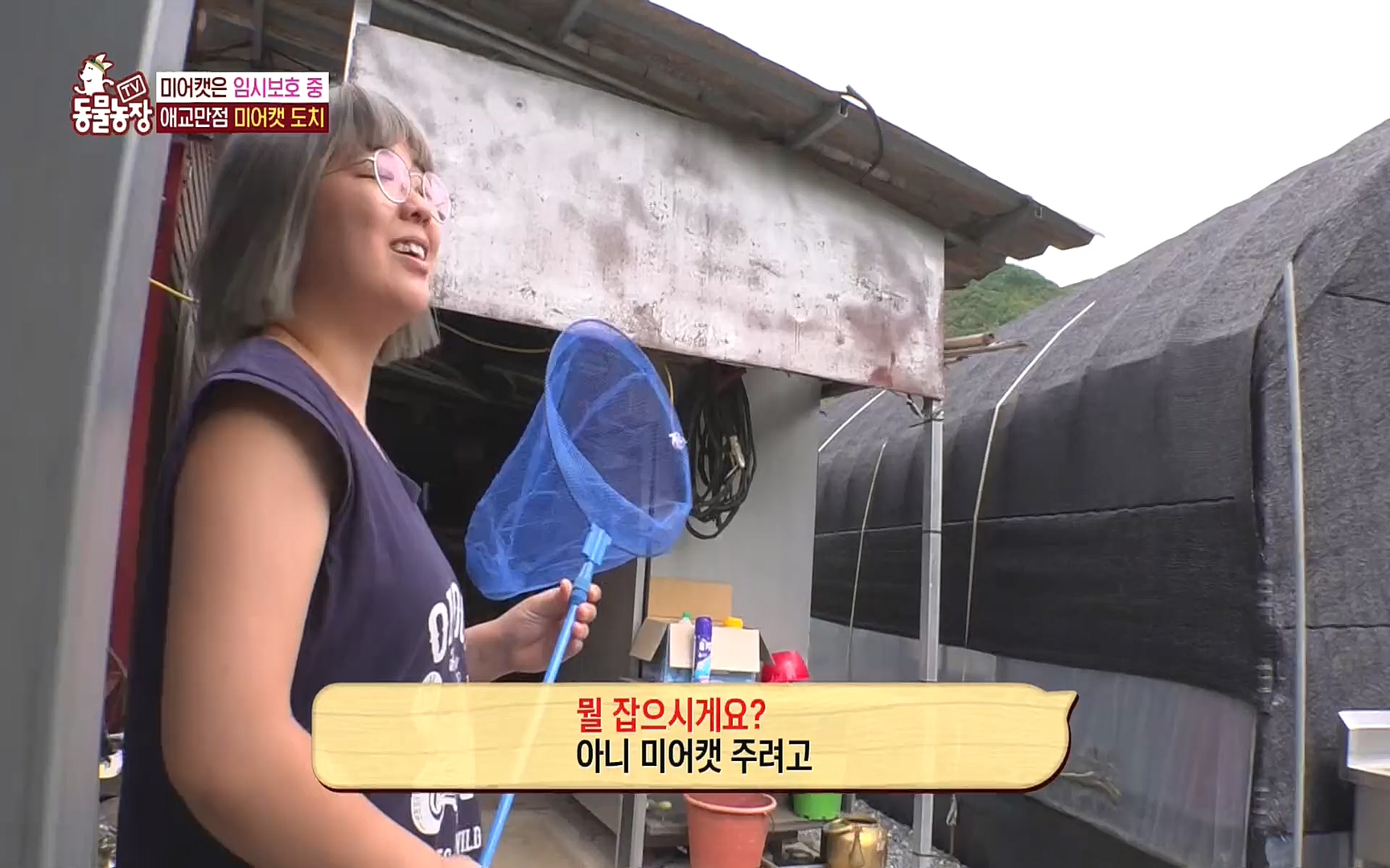 TV 동물농장.E1088.220925p.H264-F1RST.mp4_20220925_174408.662.jpg