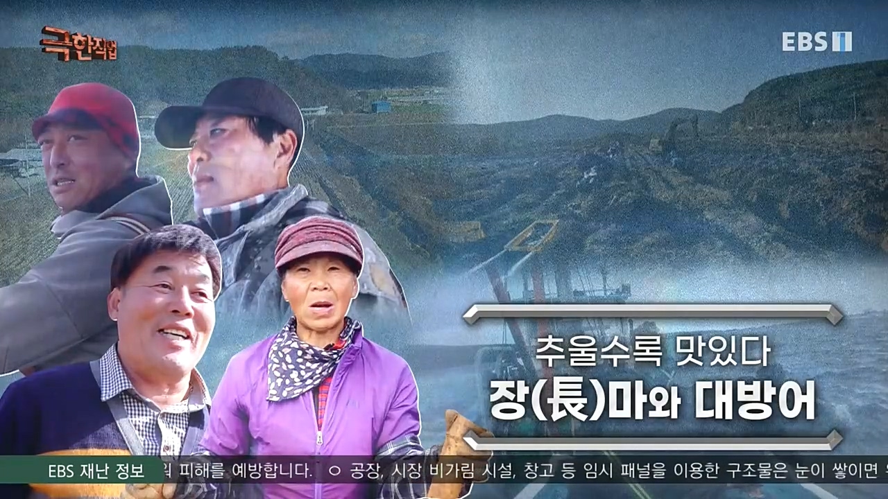 [극한직업] 추울수록 맛있다 장(長)마와 대방어.E734.221218p-NEXT.mp4_20221219_191457.990.jpg
