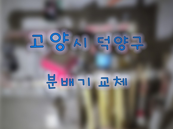 옥빛 이미지