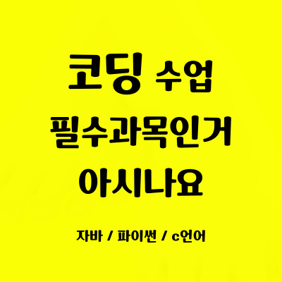  평촌 초등학생 코딩학원 범계 중학생 코딩과외 일대일 자바스크립트 파이썬 초등 중등 필수과목 사고력