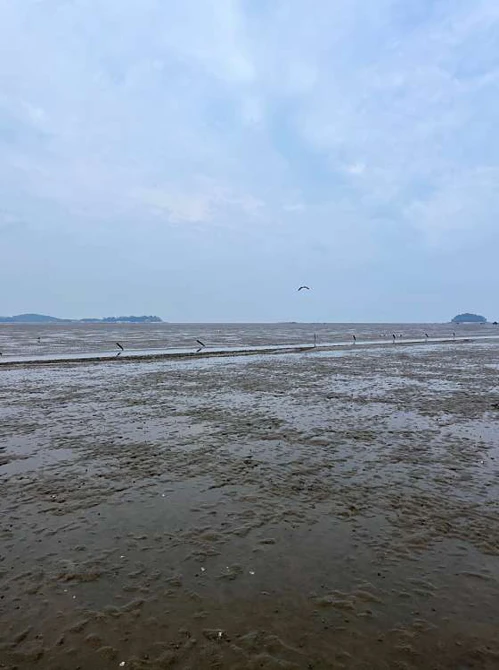 만돌갯벌체험학습장