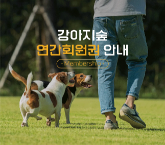 강아지숲 연간회원권