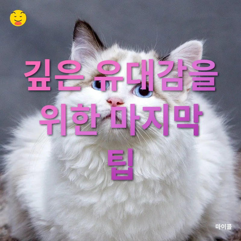 반려동물 심리_3