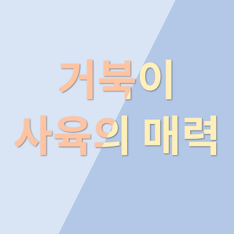 거북이 사육_1