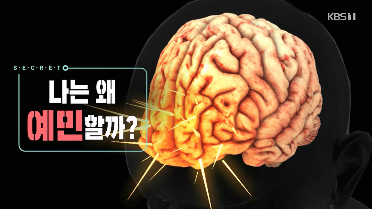 생로병사의 비밀.E879.230817p-NEXT.mp4_20230817_203036.518.jpg