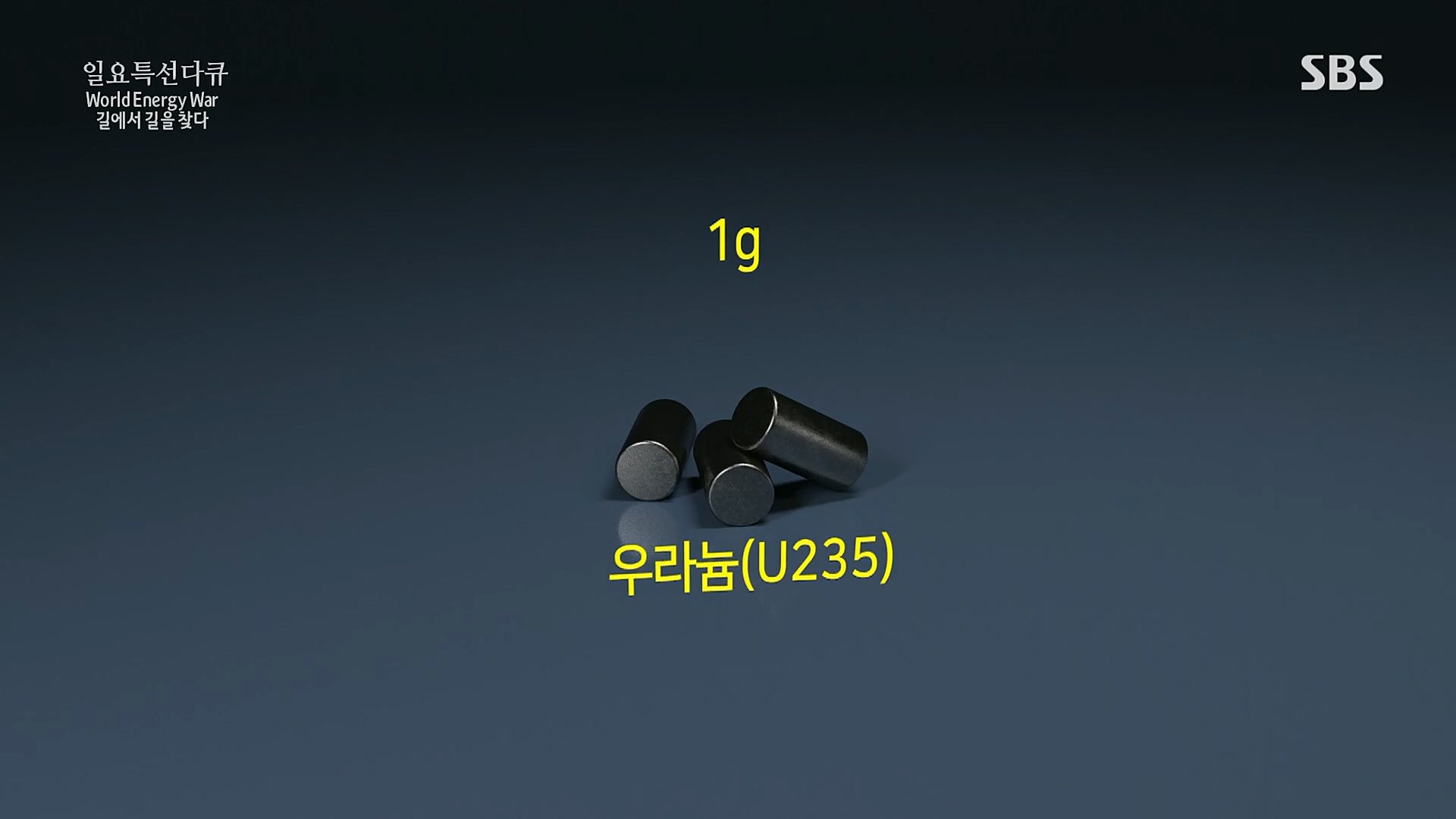 일요 특선 다큐멘터리.E302.230122p.H264-F1RST.mp4_20230129_182537.334.jpg
