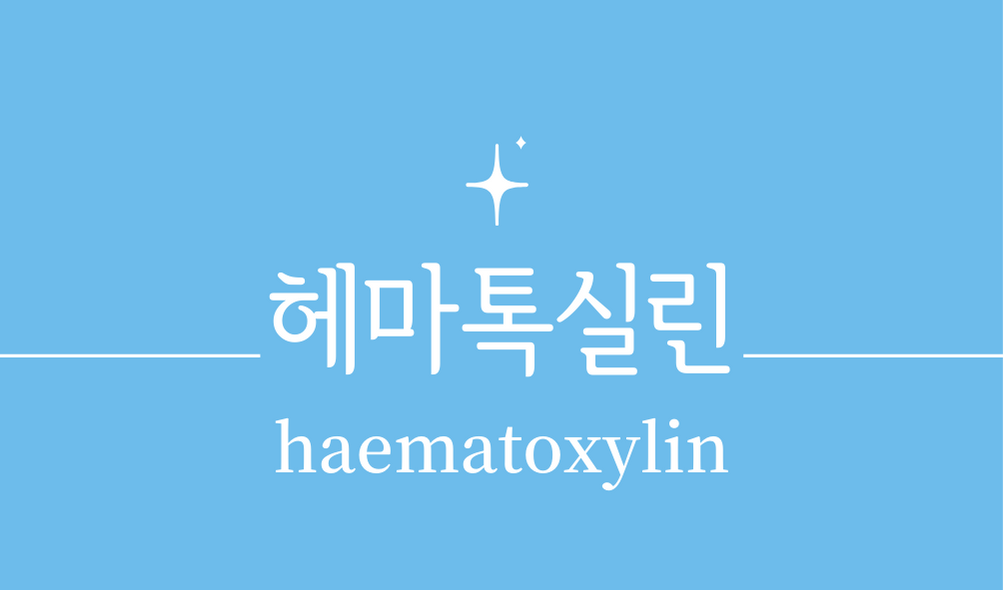 &#39;헤마톡실린(haematoxylin)&#39;