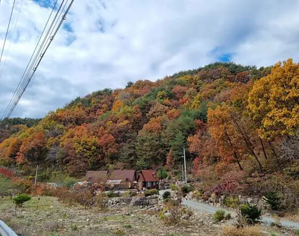 별하펜션
