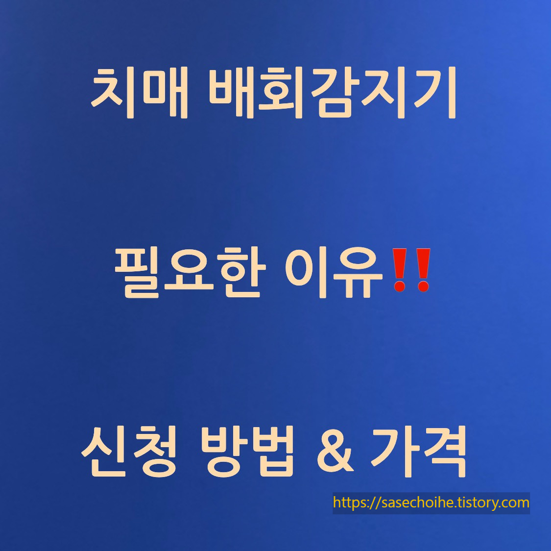 치매 배회감지기 필요한 이유 신청방법 가격 텍스트 사진