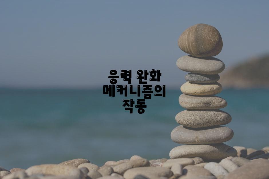 응력 완화 메커니즘의 작동