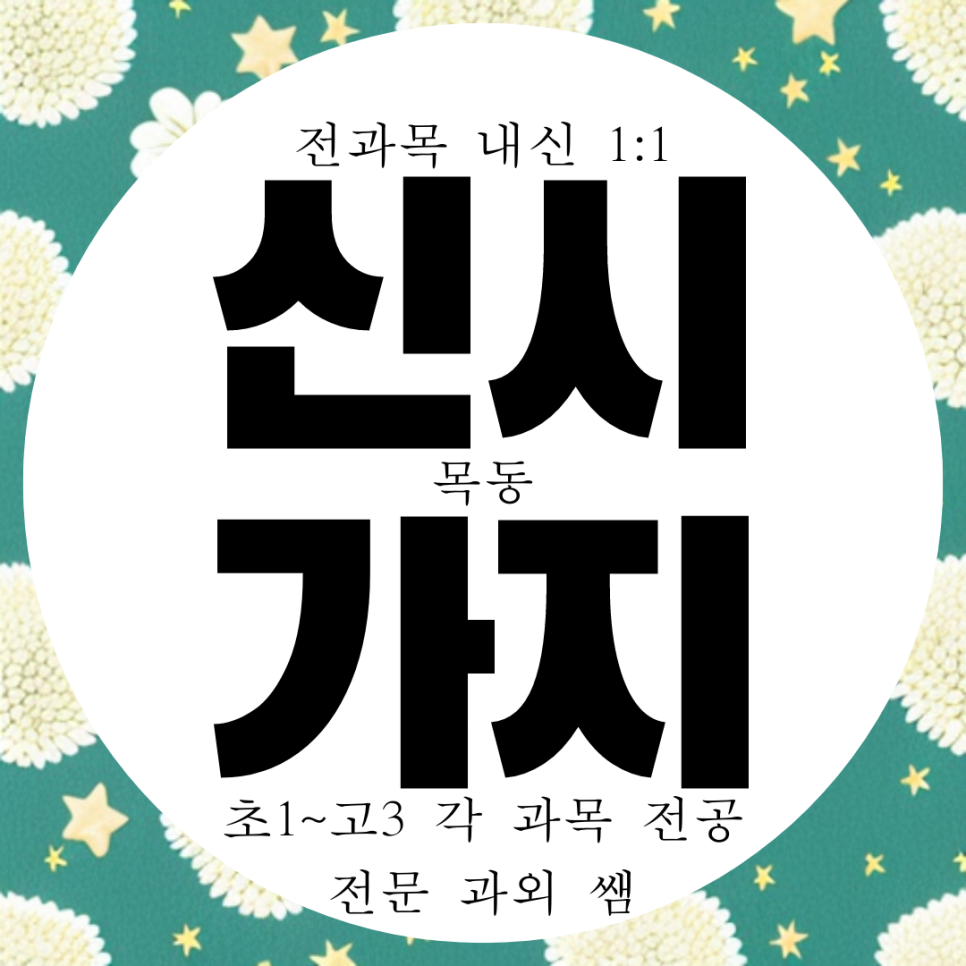  신목고 내신 관리 과외 목동 13단지 신시가지 국영수 대비 전과목 전문