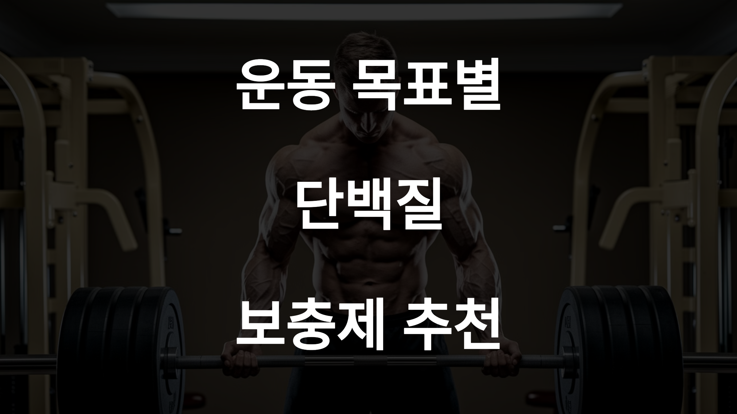 운동 목적별 단백질 보충제 추천! 벌크업 vs 다이어트 vs 유지