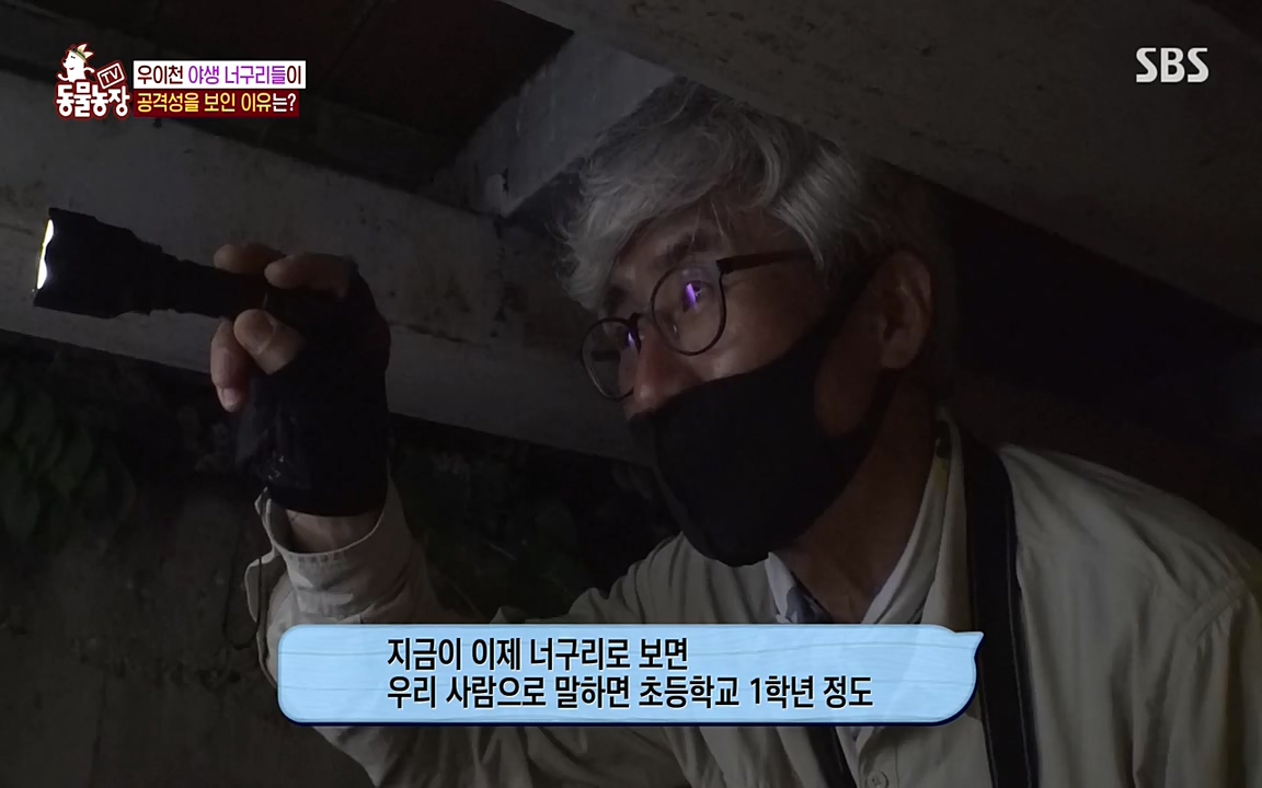 TV 동물농장.E1080.220732p-NEXT.mp4_20220731_174214.616.jpg