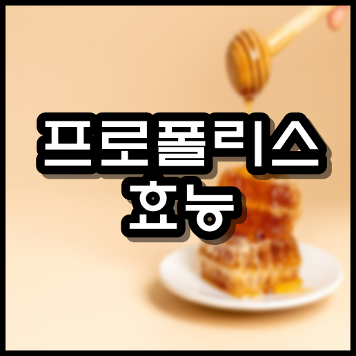  프로폴리스 효능