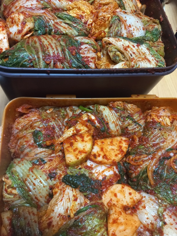 김치통에 담은 반으로 접어 겉잎으로 감싼 김장김치 사진