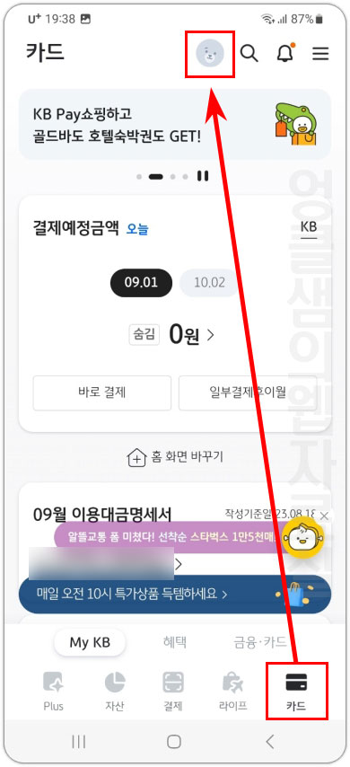 KB Pay 내 카드 정보