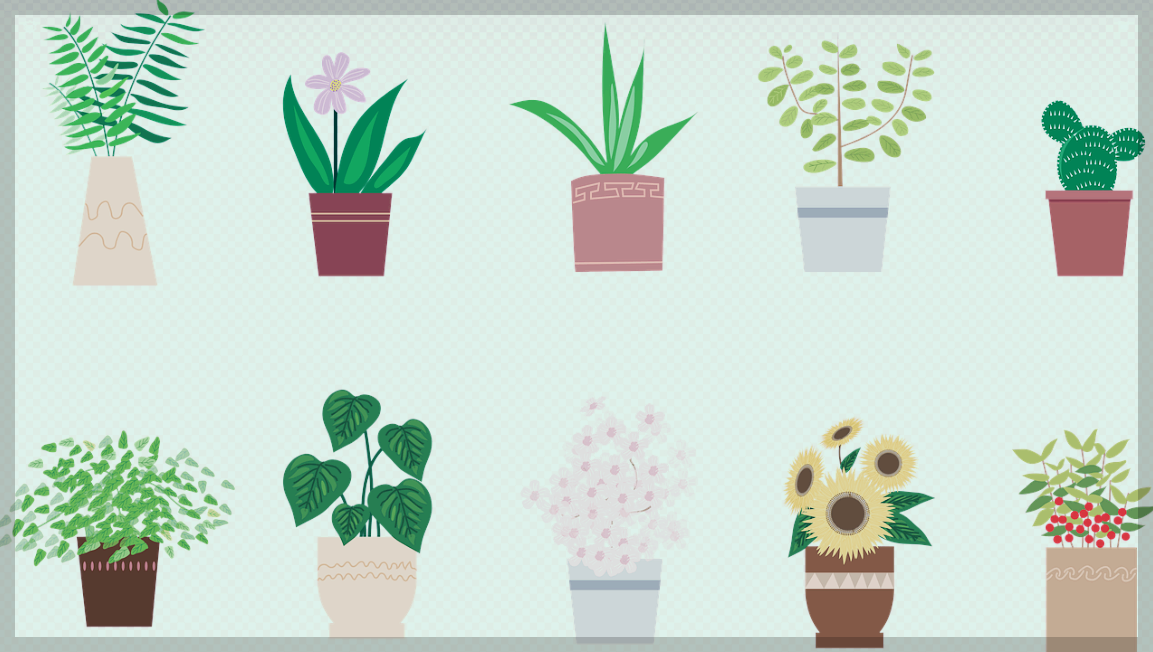많은 식물들