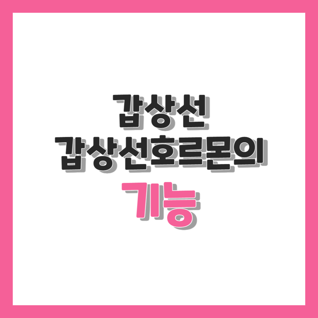  갑상선 갑상선호르몬의 기능