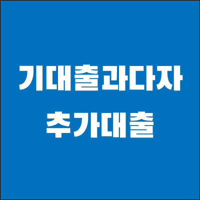 기대출과다자-추가대출