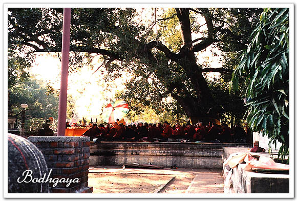 인도-보드가야-마하보디사원에서-설법듣는-모습