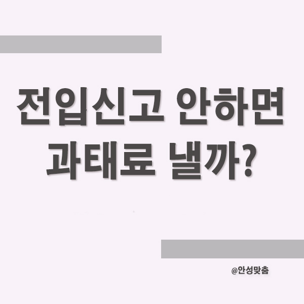 전입신고 과태료전입신고 안하면 과태료