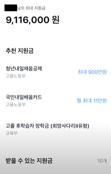 숨겨진 정부 보조금 이미지 던져