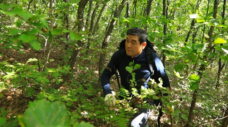 송이찾기